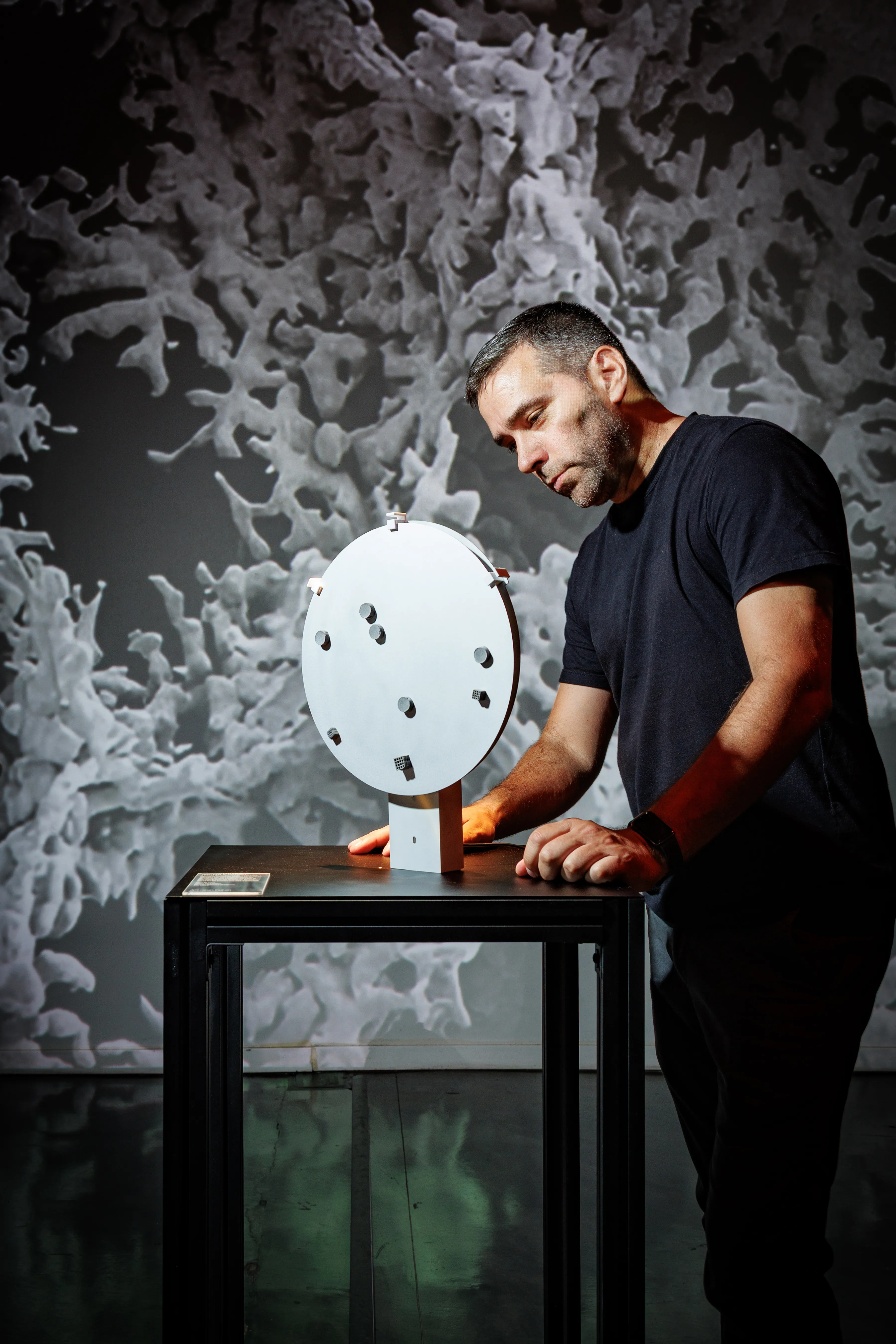 Exhibition image 4
